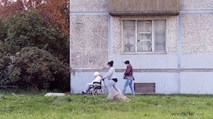     2025 