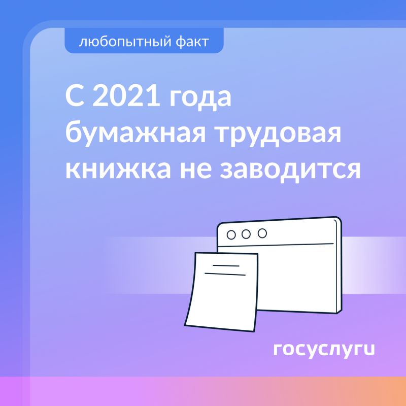   :     2025 