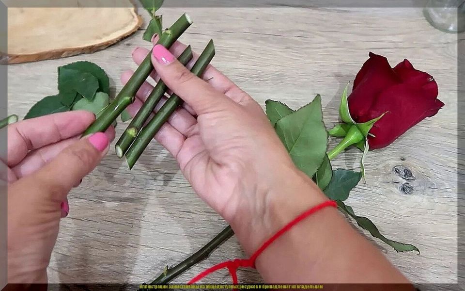   :    