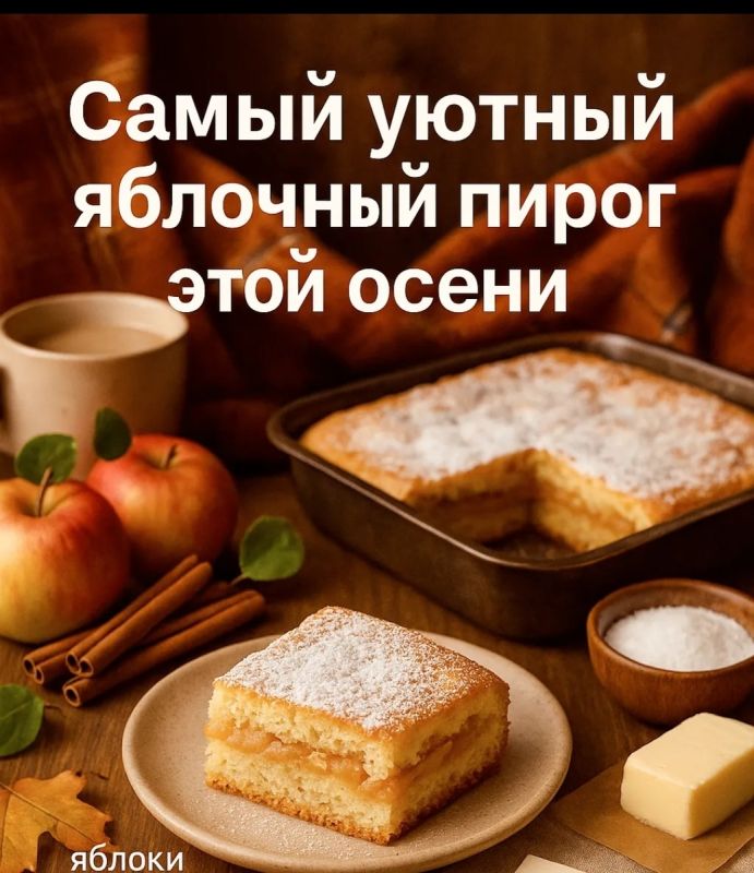   :     