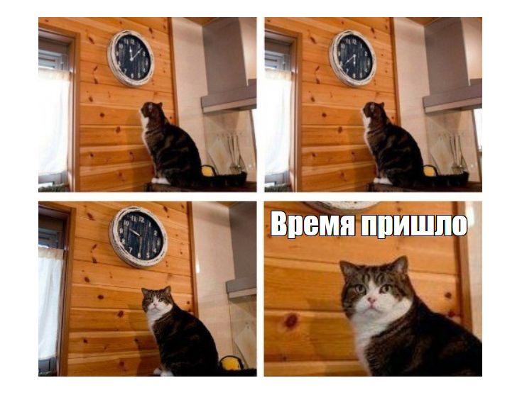    :     ?