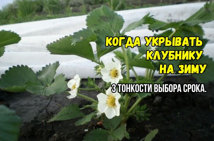      :   