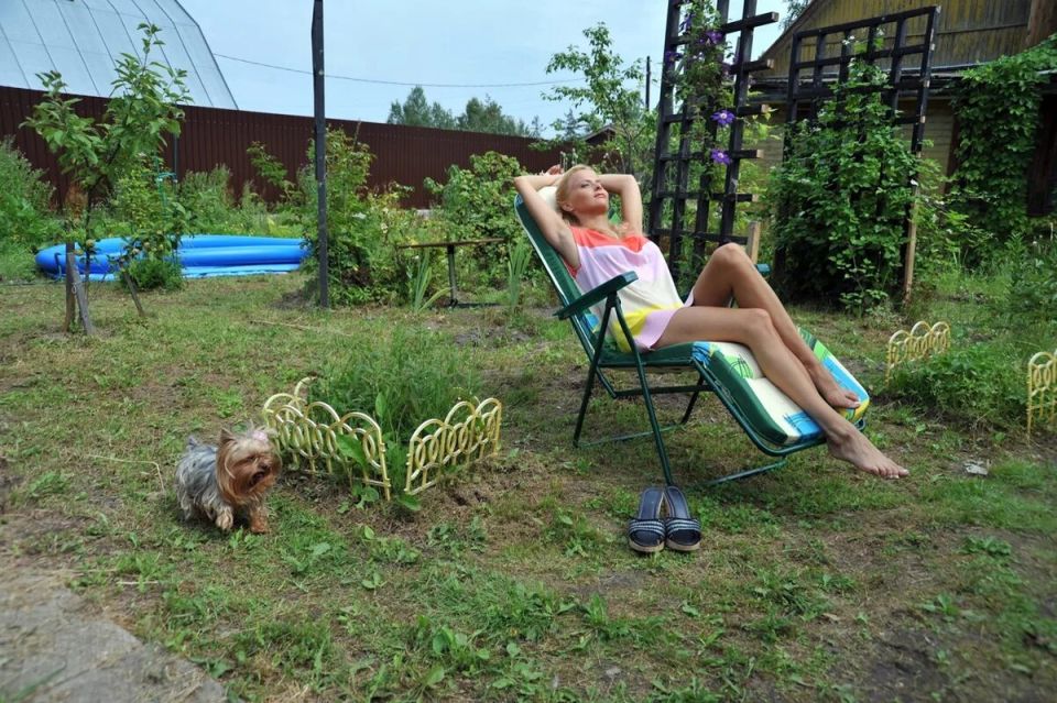 Как вернуть свою дачу: советы собственникам, забывшим об условиях дружеского притяжения