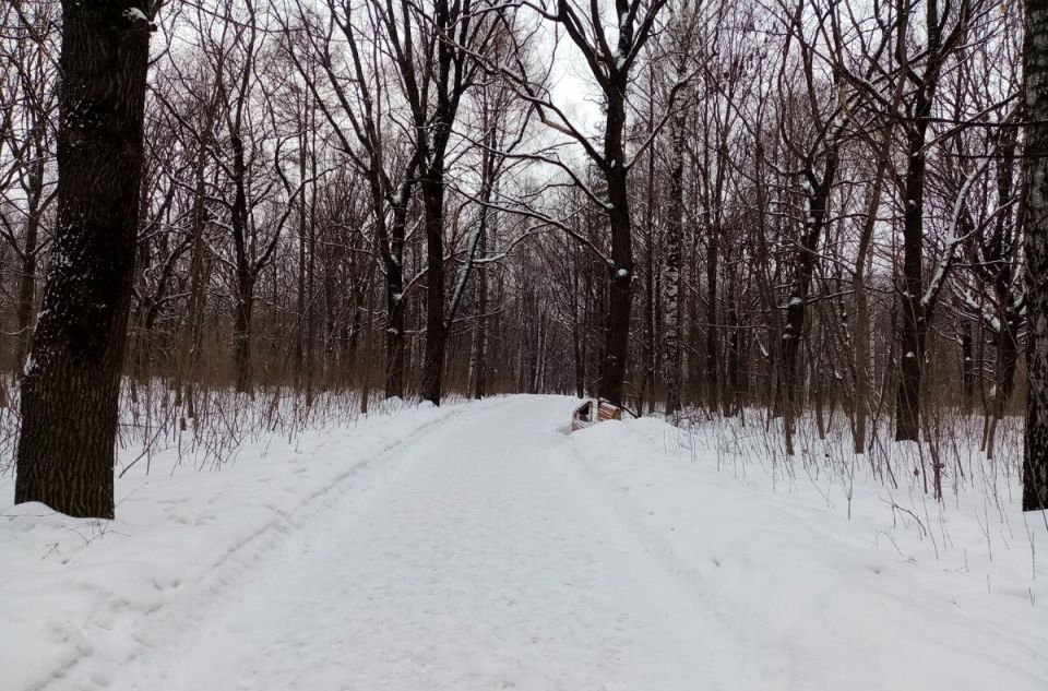 Как предсказать зиму: народные приметы и климатические прогнозы 2025 года