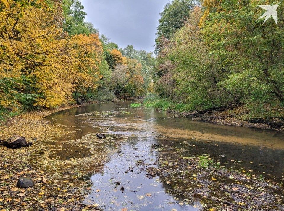 Ноябрь 2025: Беларусь ждет уникальные изменения и приятные выходные
