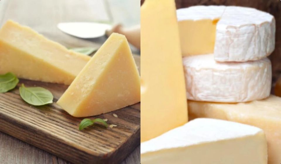 Сыры, которые заботятся о вашем здоровье: топ-10 источников белка