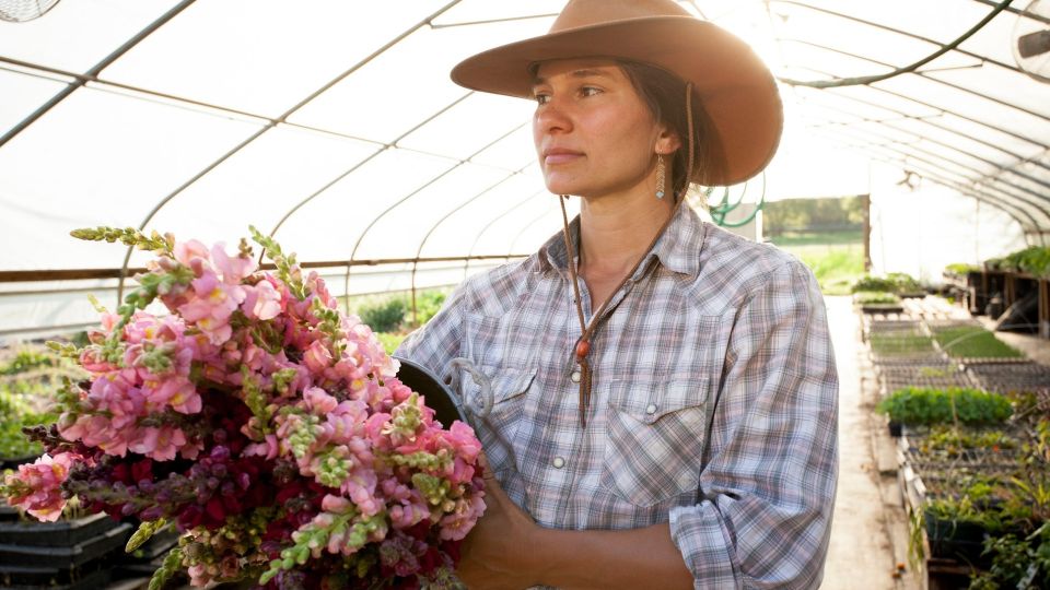 Российские цветоводы бьют тревогу: в стране не осталось качественных семян