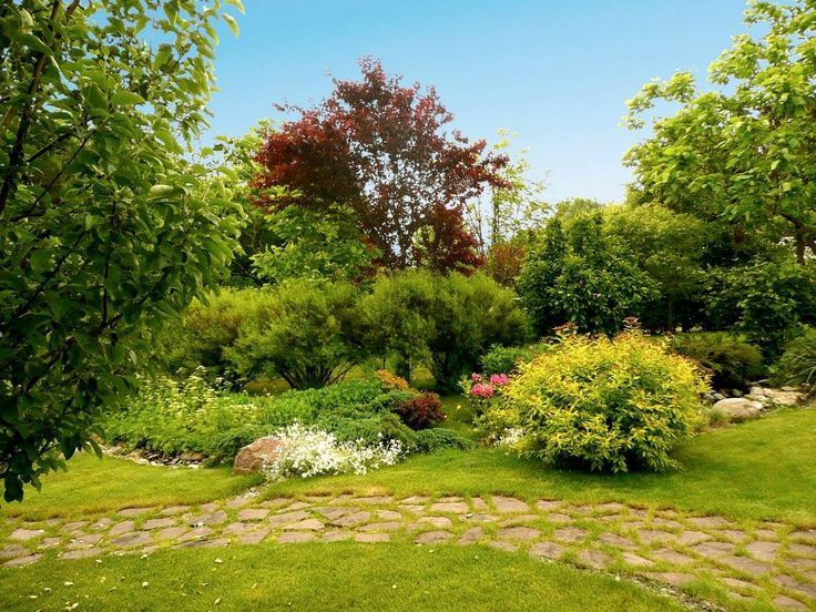 Волшебство дикой природы: как 2025 год меняет подход к садоводству