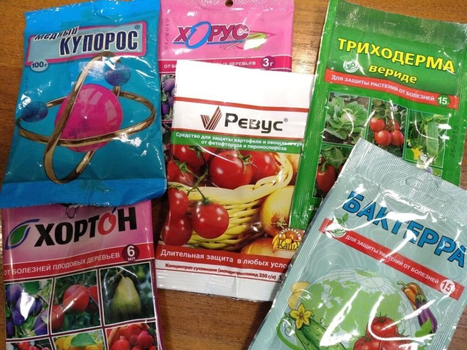 Как защитить свои растения: всё о фунгицидах и их эффективном использовании