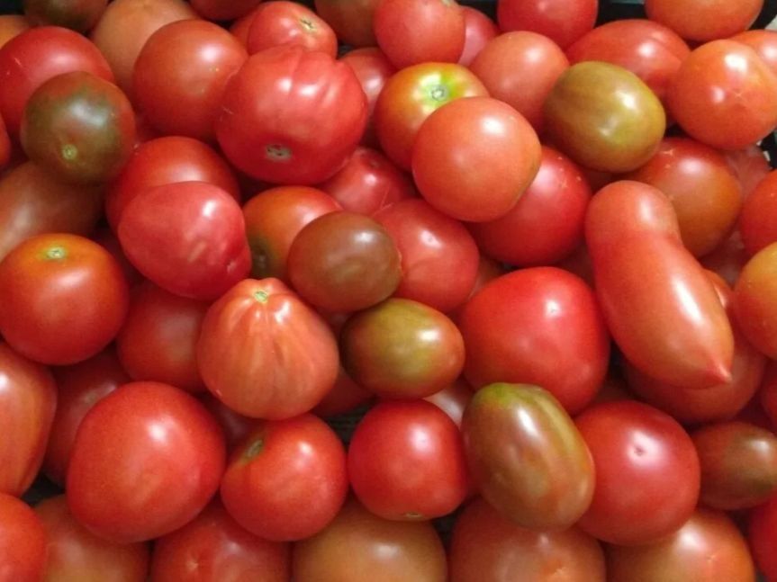 Сочный помидорный гарнир: быстрый рецепт, который станет фаворитом вашего стола