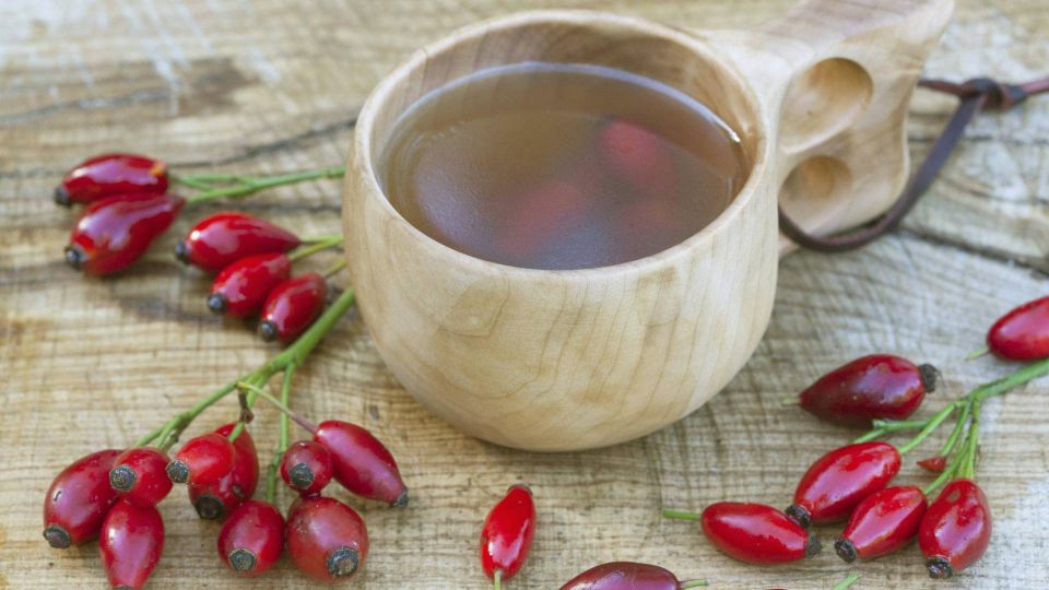 Собирайте для заготовки только эти плоды шиповника: в них в 2 раза больше витаминов