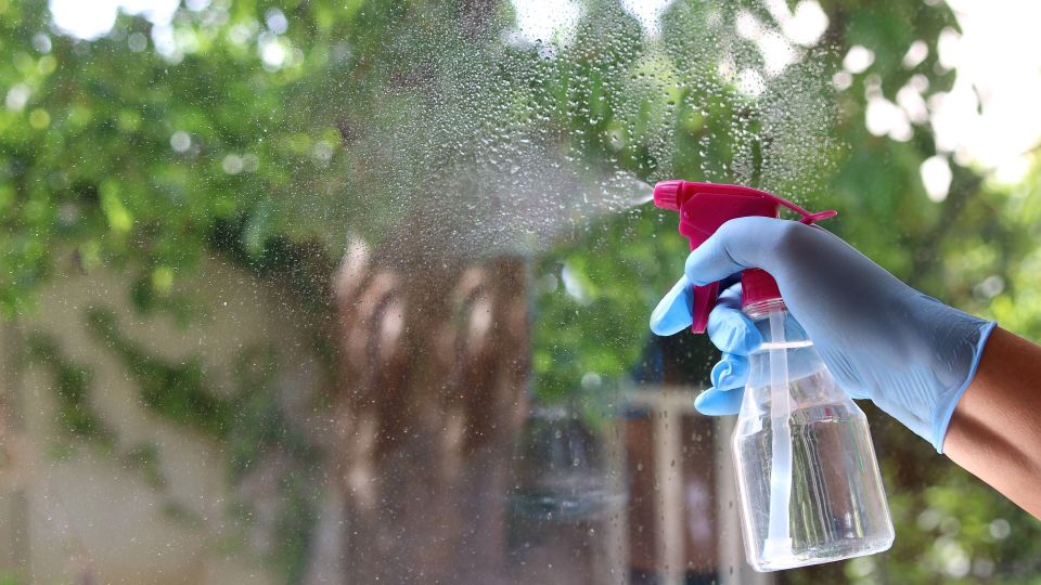 Быстро и без разводов: с этими копеечными средствами вы вымоете окна за считанные минуты