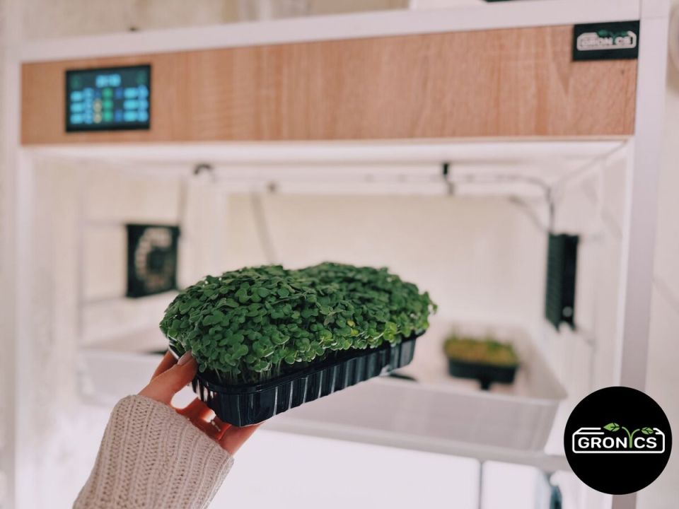 Как собственный сад может спасти ваше сердце: неожиданные открытия ученых