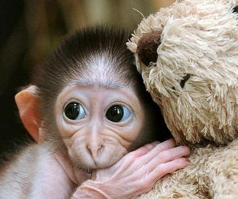 Как построить новую жизнь после развода: шаги к лучшему будущему