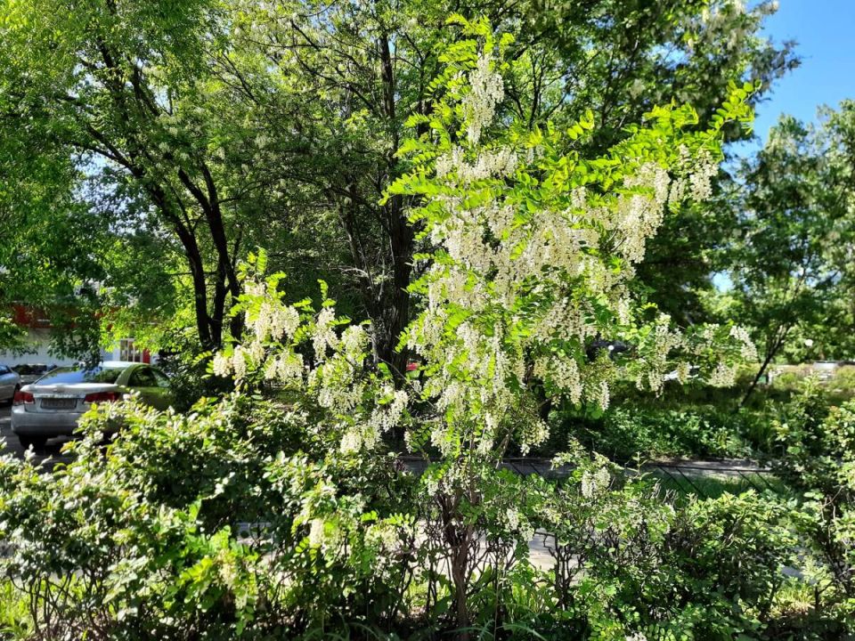 Садоводов ждут важные новости