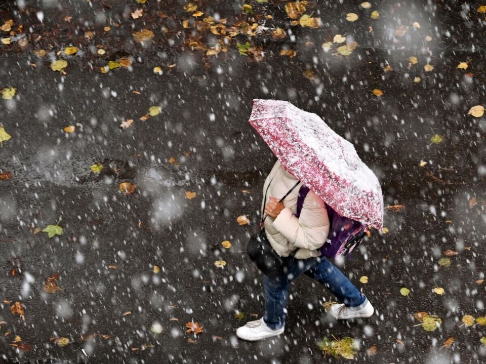 Декабрьские законы: важные изменения для мигрантов и безопасность страны