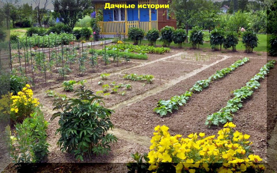 ������� ������������ ��������������� � ������ � ���������: ������ �� ������� ��������