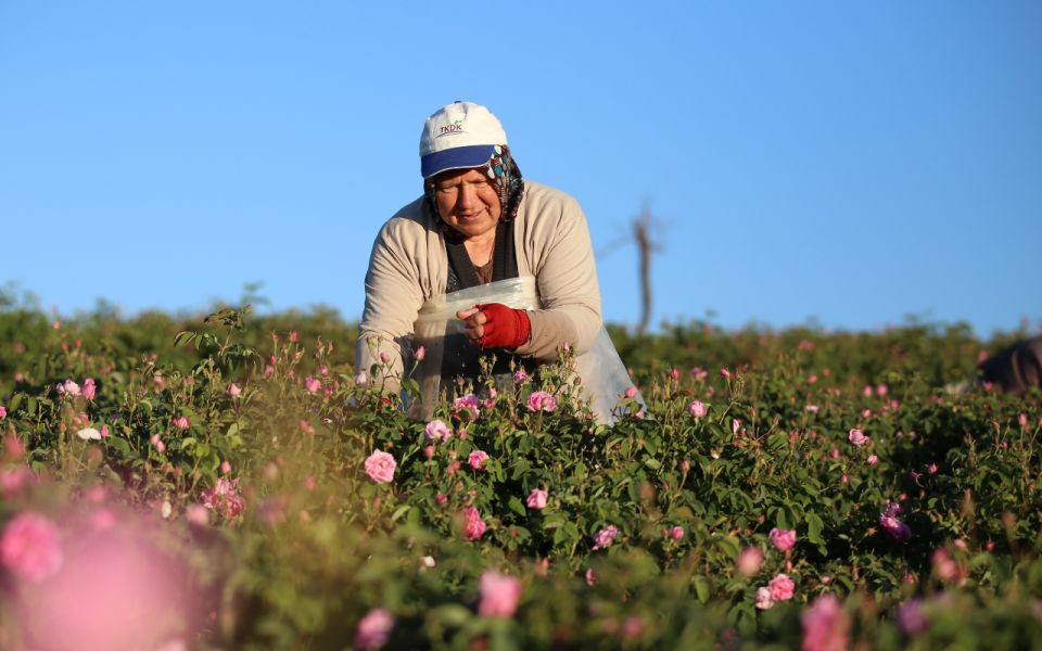 ������ �� ����: ����� � ��� ����� �������� ���� �� ����