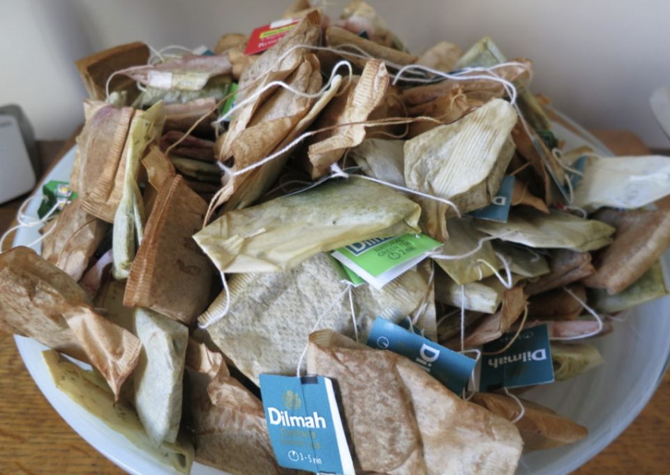 Как чайные пакетики могут стать секретом успешного садоводства