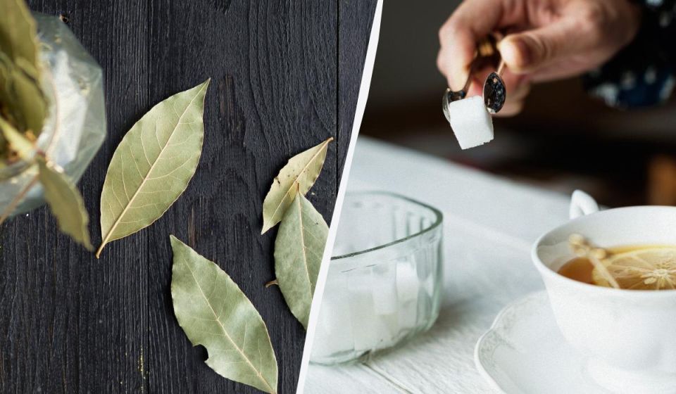 ������ �������� ���� � ��������� � �������� ����� �� ��������� ������