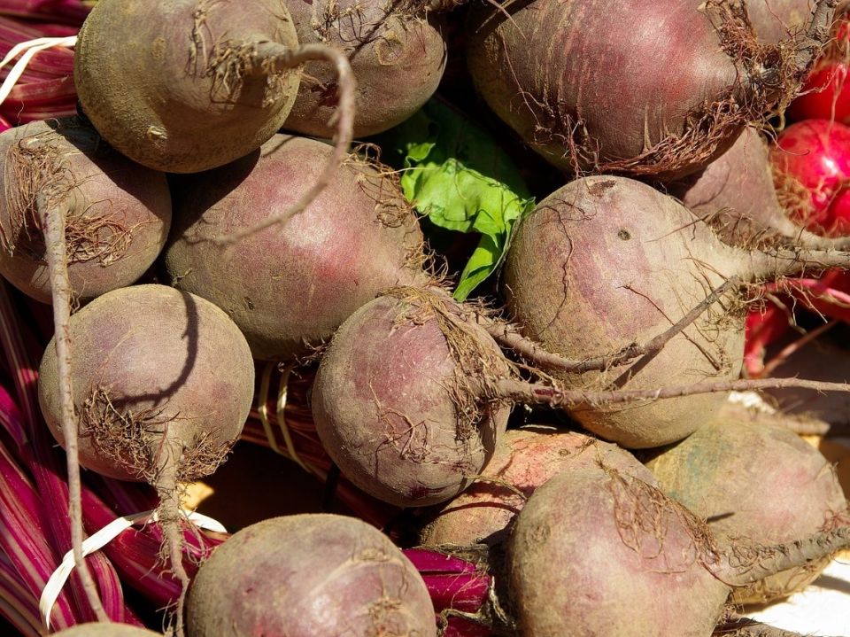 Сентябрь: значительное снижение цен на основные продукты в российских магазинах