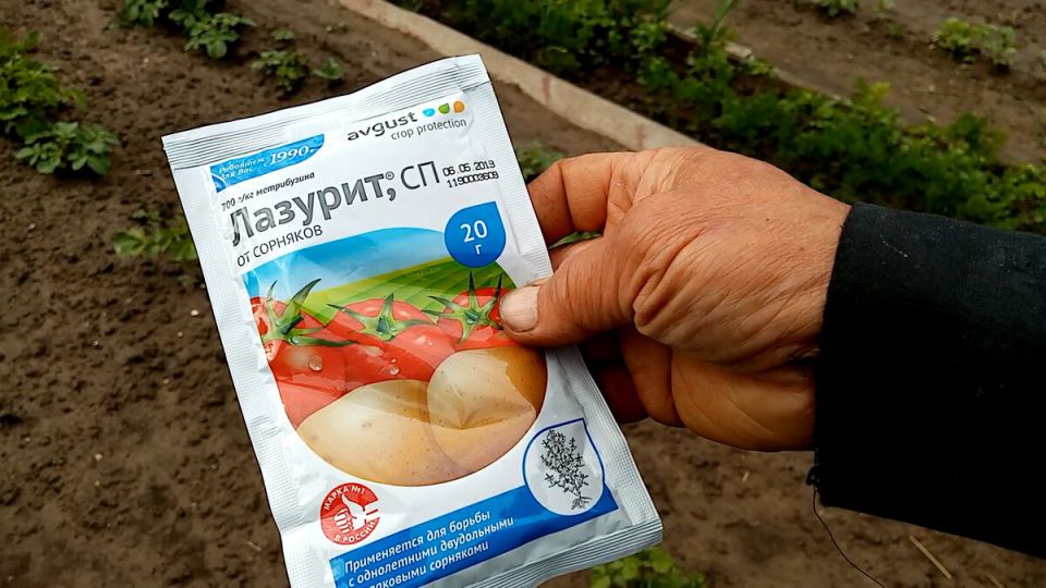 ������� ������ � ������ � ���������: ��� ������� �������� ���������