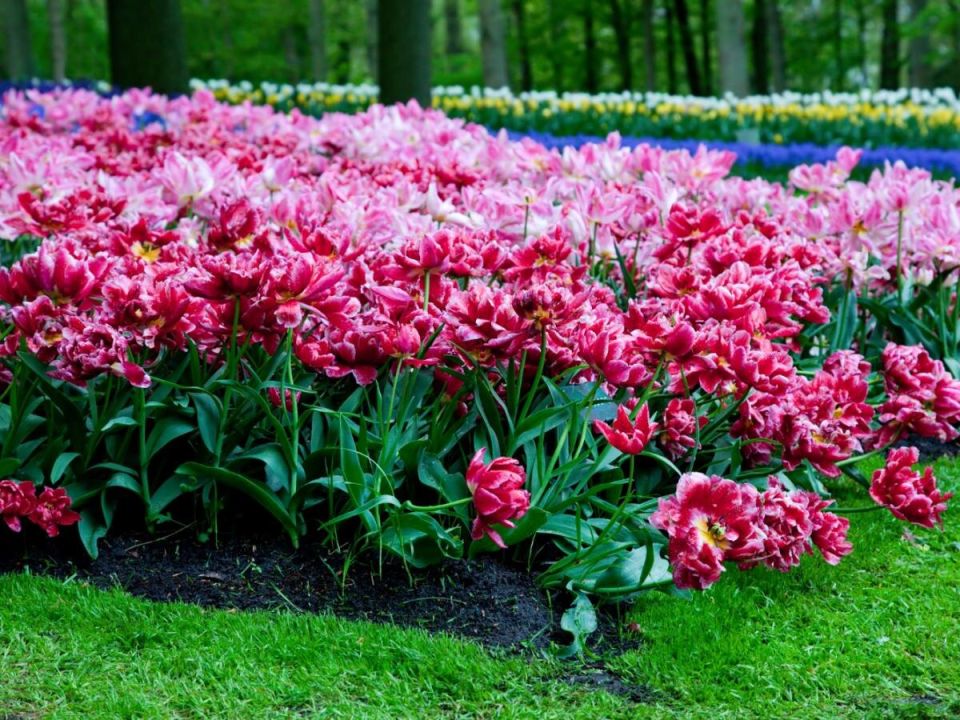 ��� ������� ���������� ��� �� ����� �����