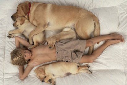 ������ � ����: ��� ������������ ���� ������ ����� �����