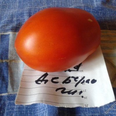 ��������� ����� �� ����� ������: ��� ��������� ������ �������� �������