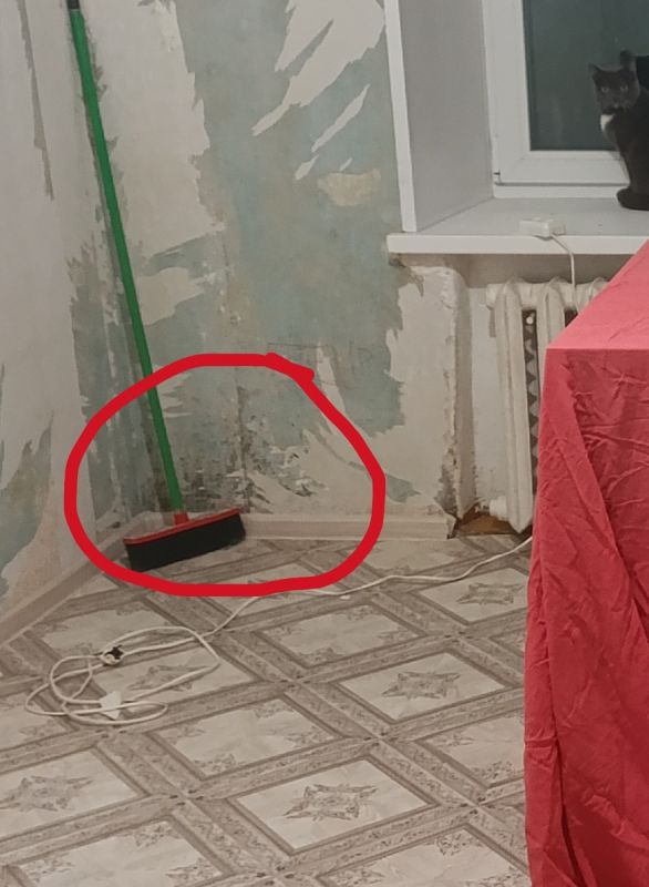 ��� ���������� �� ������� � �������: ������ � ������������