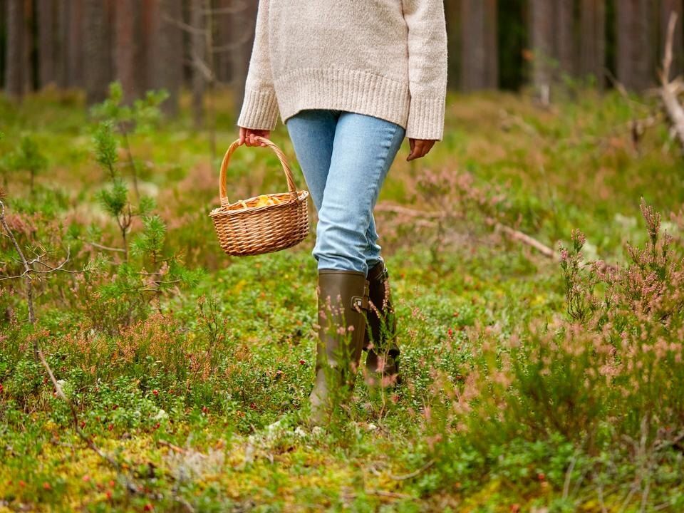 �������� �����: ����� �������� ���� ����