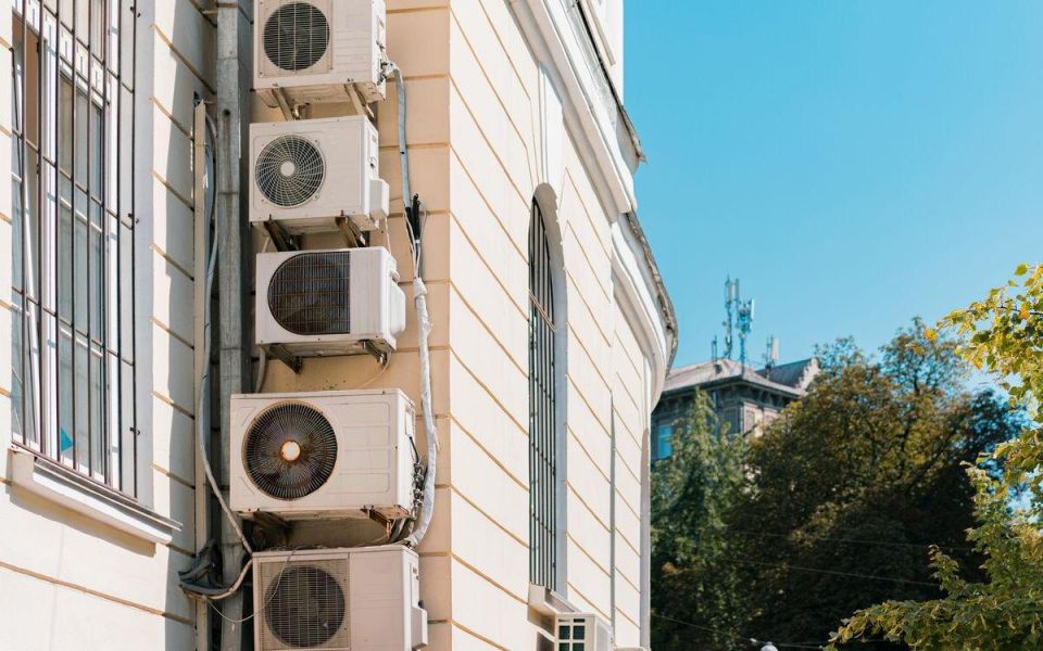 ��� �� �������������: ��� �������� ���� ����� �� ������