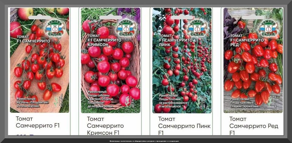 ������ � ��������: ��� ������� ��������� ����� ��� ������ ������� � ���� ������