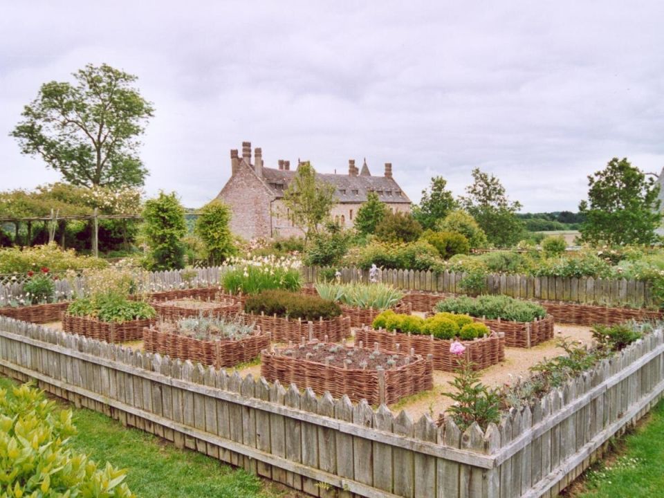 ������ ��������: ����� ����� ����� �������� ������ ����� � �����?