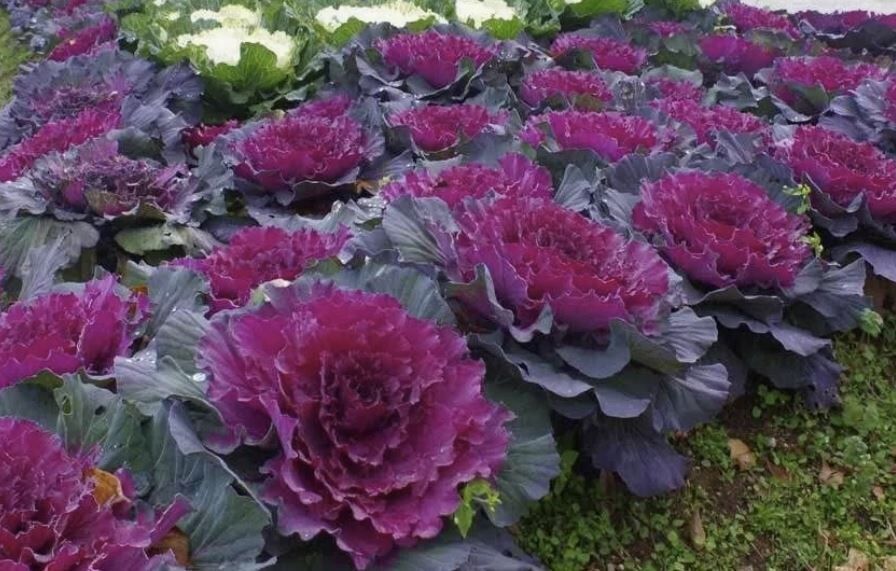 ������������ �������: ��� �������� ���� ��� ������ �������� �����