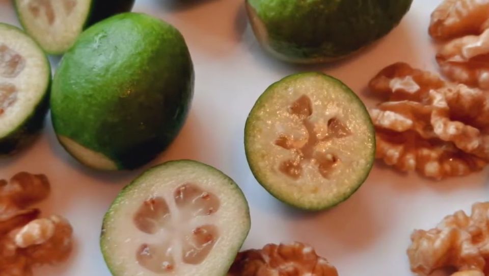 ������: ������� �������� � ��������� � ������ �����