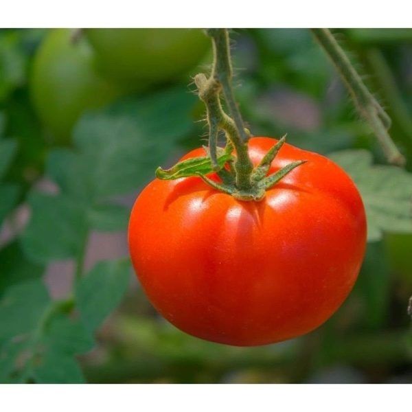 ����� ���������: ������ �������������� ������ � ����� �������