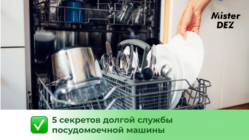 ��� �������� ����� ����� ������������� ������: 5 ������� ��������