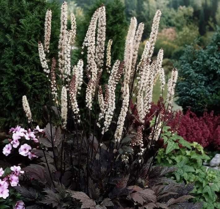 ��������: ������ ���������� ���� � ����������� ������