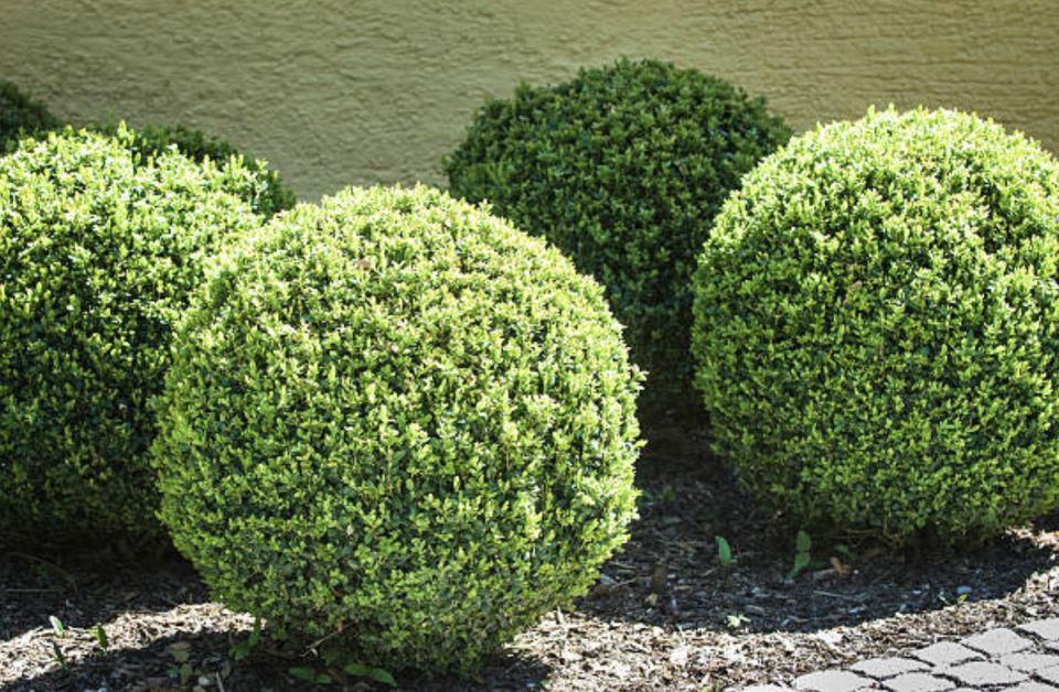 15 ���������� ����������� ��� ��������� �����