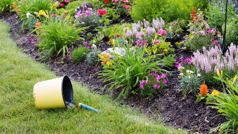 Как модульные клумбы изменили подход к озеленению: советы и опыт соседа