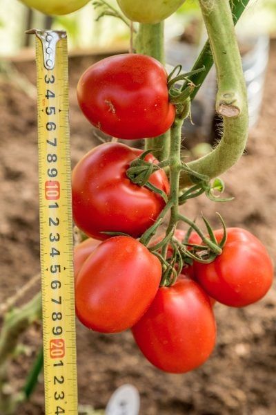 ����� ��������������: ������������� ����������� ������ ��� ������ � ��������� ������