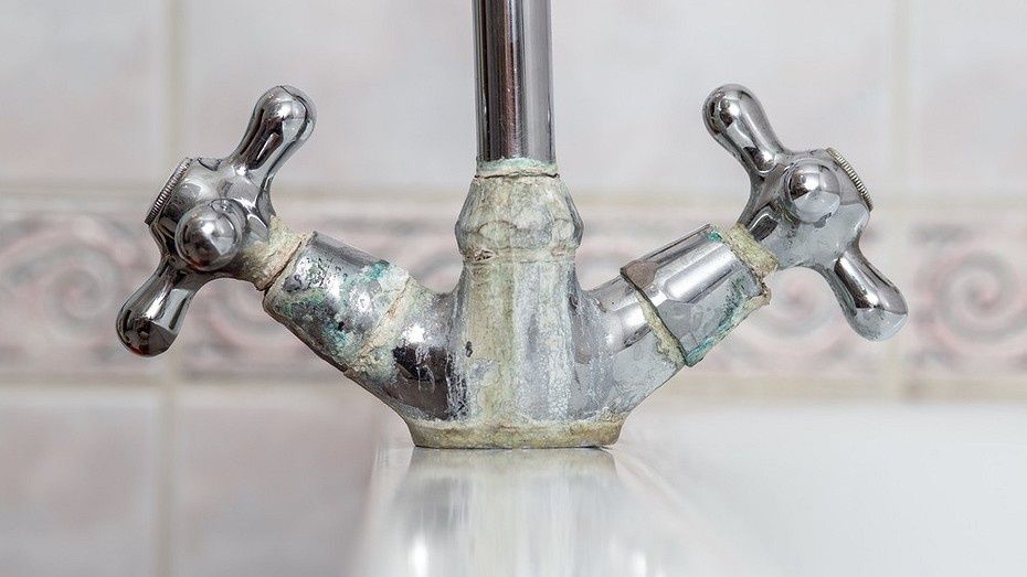 ��� ��������� ����� �����������: ������� ������� ������ ������������ ������