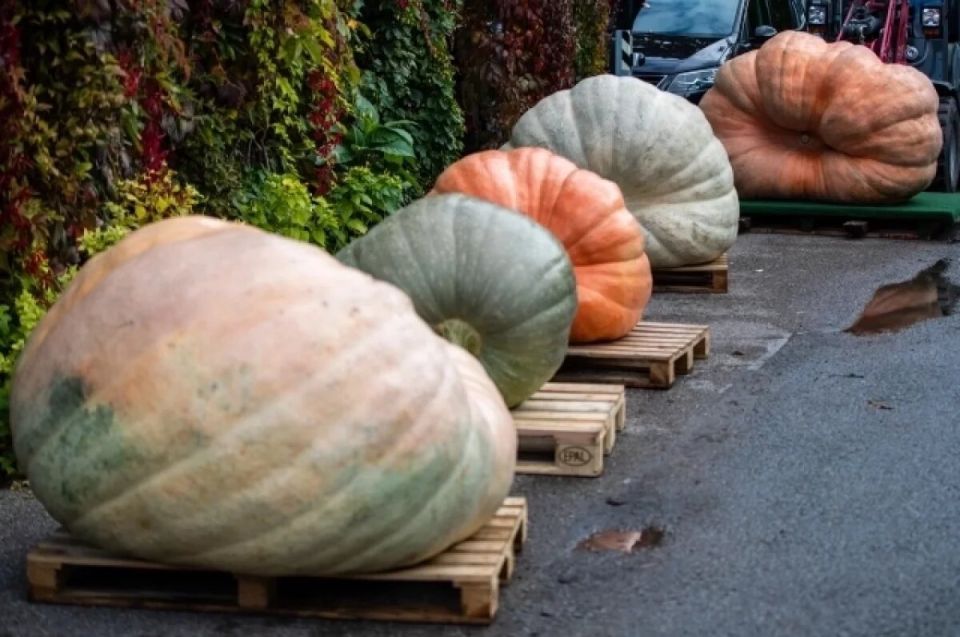 ��� ������� ������ ����������� � ������� � ���������� ����� � ������� �������