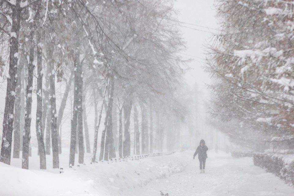 Осознанный выбор дома в непогоду: как сохранить работу и спокойствие