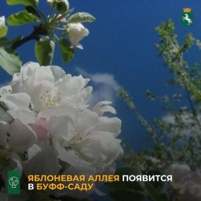 17           -    