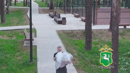 Томич уличён полицией в краже из ларька в Асино свыше 30 рожков мороженого, 15 кг мяса и электрогриля