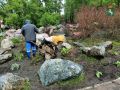 Порядка 150 хост рассадили по городским клумбам