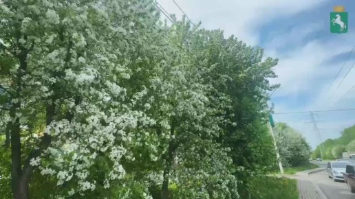 Улица Беринга на несколько недель превращается в сказку