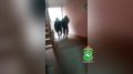 Как сообщалось ранее, в ОМВД России по Октябрьскому району города Томска поступило сообщение от представителя организации о том, что неизвестный мужчина 19 декабря 2024 года в период с 18 часов 45 минут по 19 часов 00 минут...
